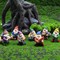 7 Pieces Fairy Garden Accessories, Garden Gnome Figurines , Miniature Gnome Figurines for Plant Pots Decor, Home Decoration, Fairy Garden